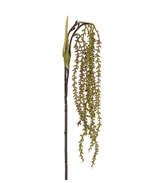 Mr Plant Mr Plant - Konstgjord Succulent 35 cm