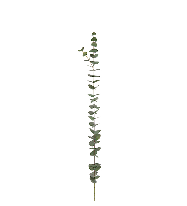 Mr Plant Mr Plant - Konstgjord Eucalyptus. 120 cm