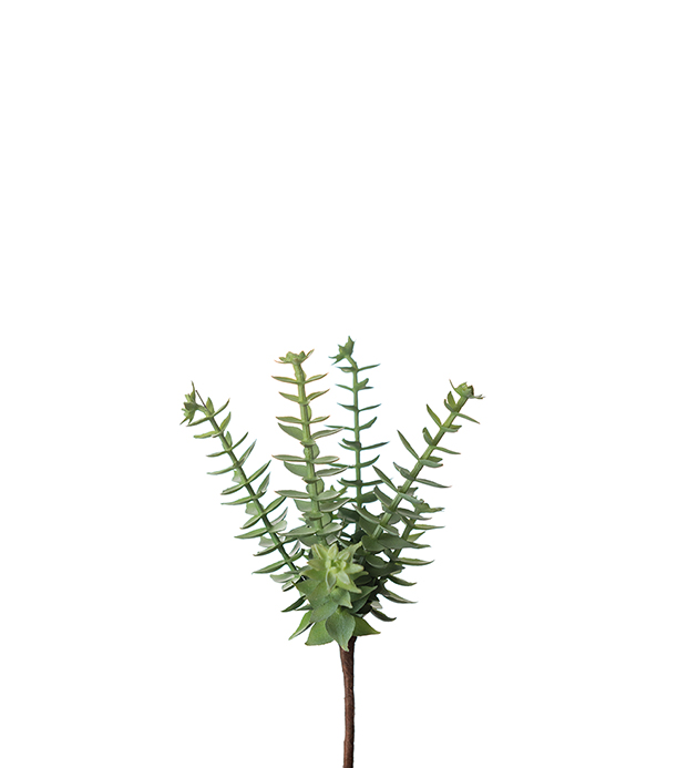 Mr Plant Mr Plant - Konstgjord Succulent 18 cm